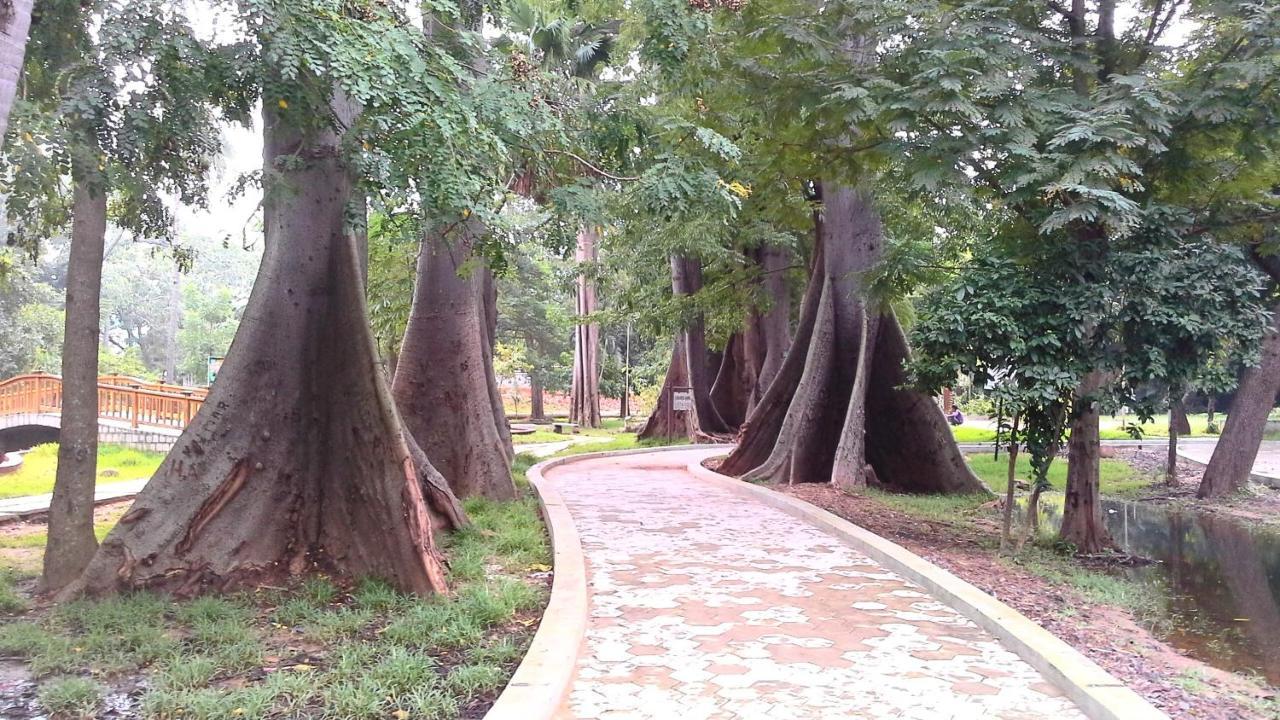 Patricia Guest House Pondicherry Esterno foto