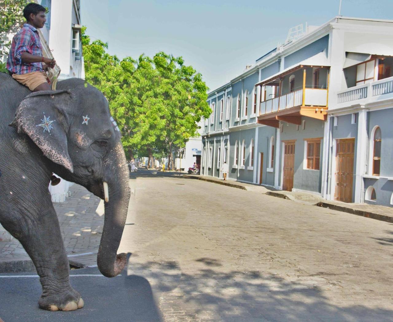Patricia Guest House Pondicherry Esterno foto
