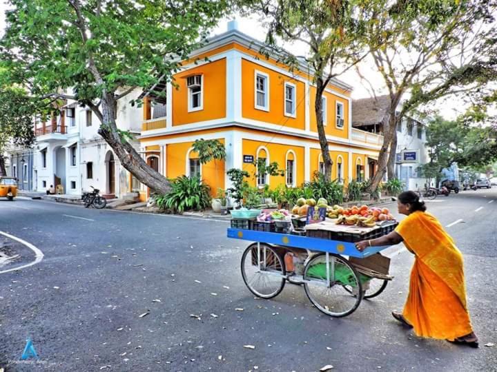 Patricia Guest House Pondicherry Esterno foto